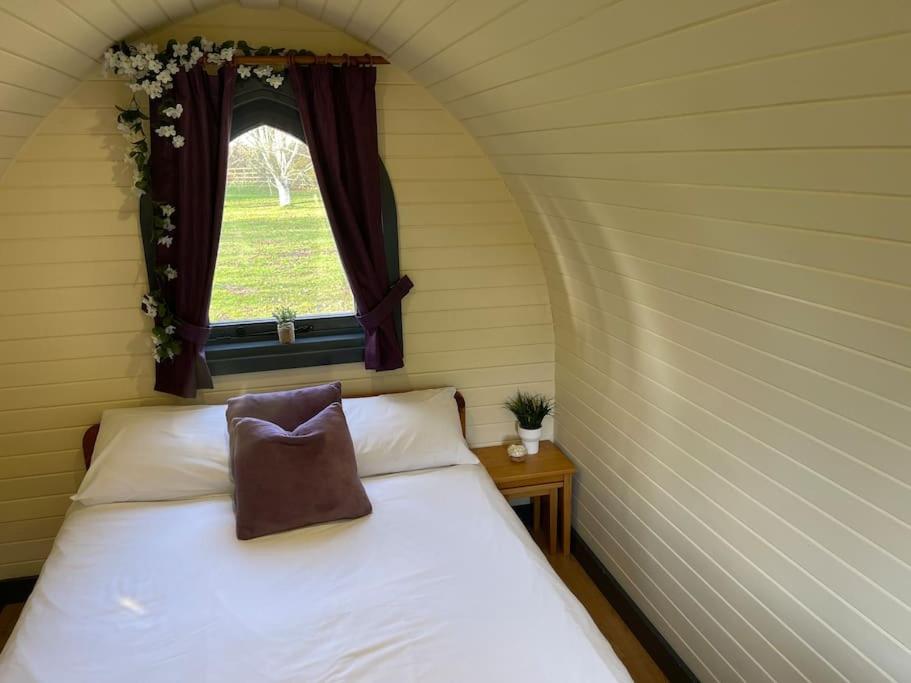 Belle Vista Glamping & Camping ยอร์ค ภายนอก รูปภาพ